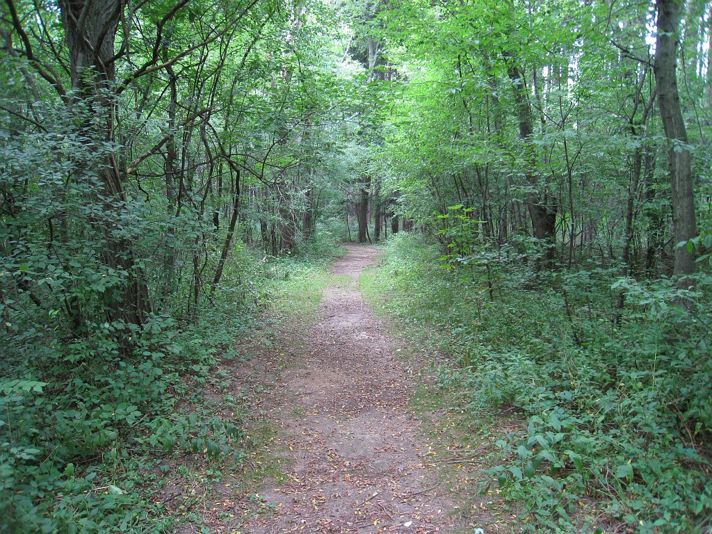 Matthaei Botanical Gardens 2010 0525.jpg - Matthaei Botanical Gardens in Ann Arbor Michigan has several miles of trails that can be enjoyed year round.
